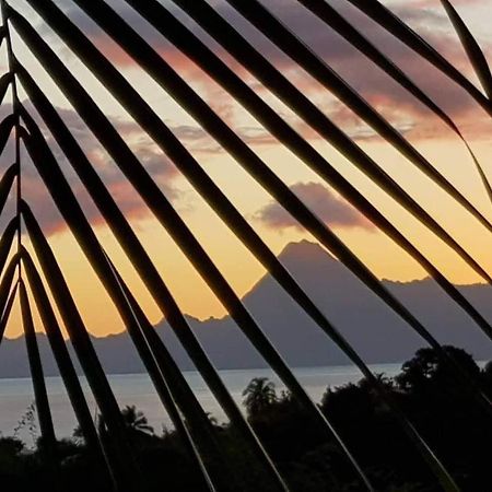 Vila Le Tiki Rouge Punaauia  Exteriér fotografie
