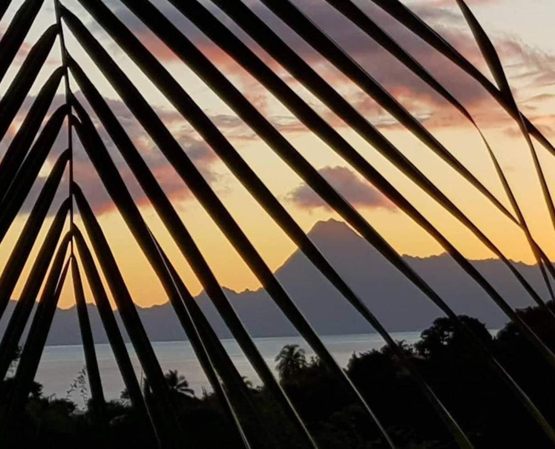 Vila Le Tiki Rouge Punaauia  Exteriér fotografie
